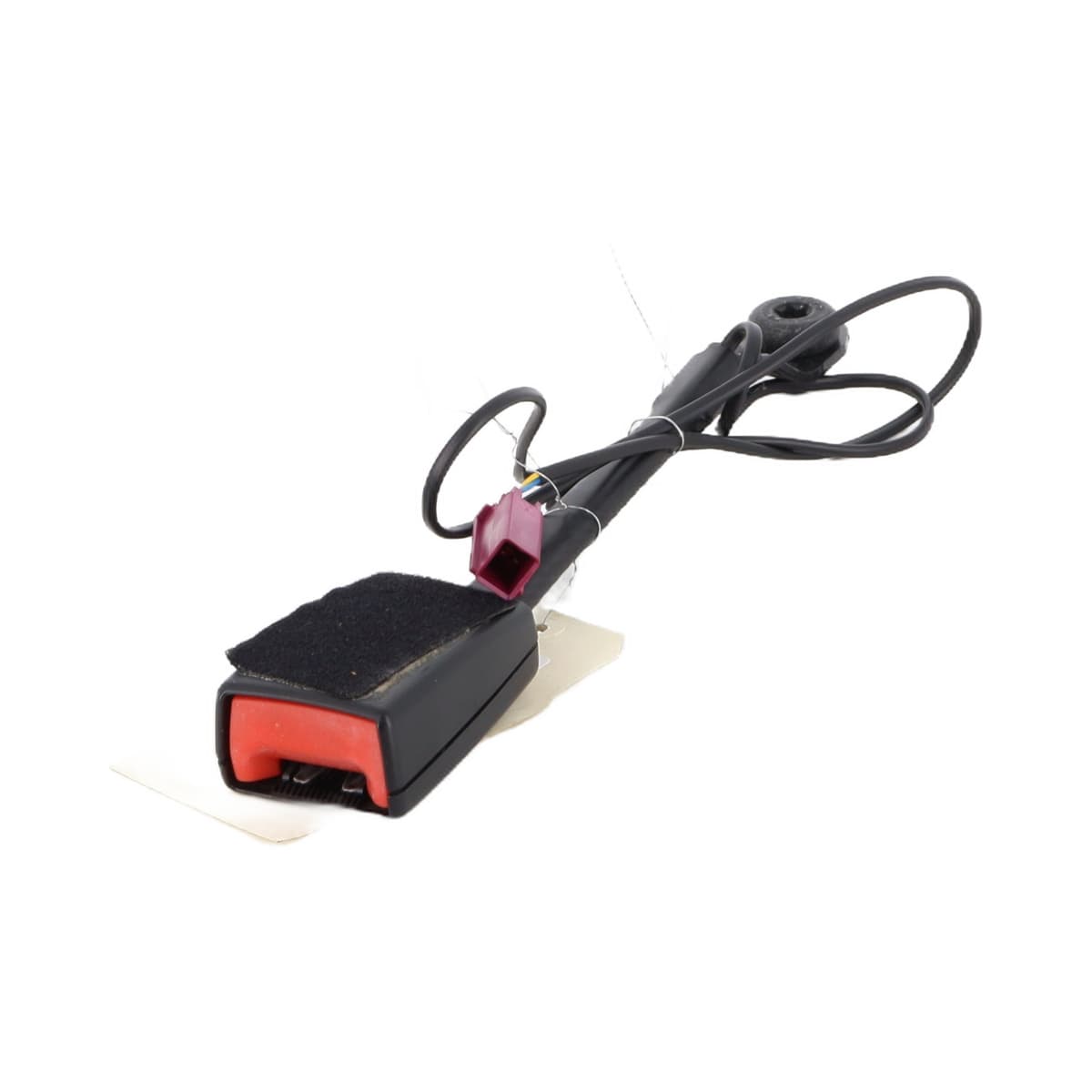 Image sélectionnée