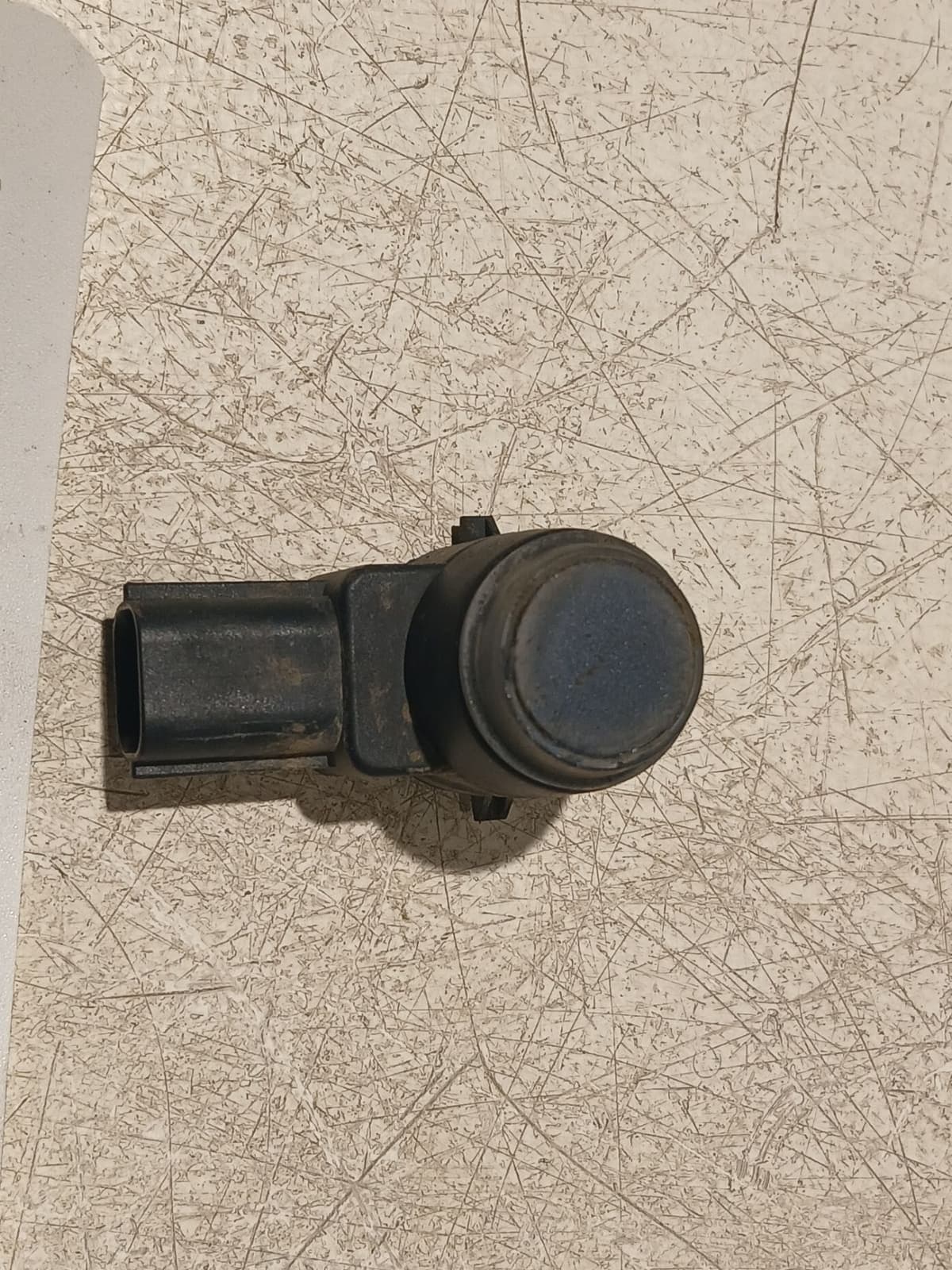 Image sélectionnée