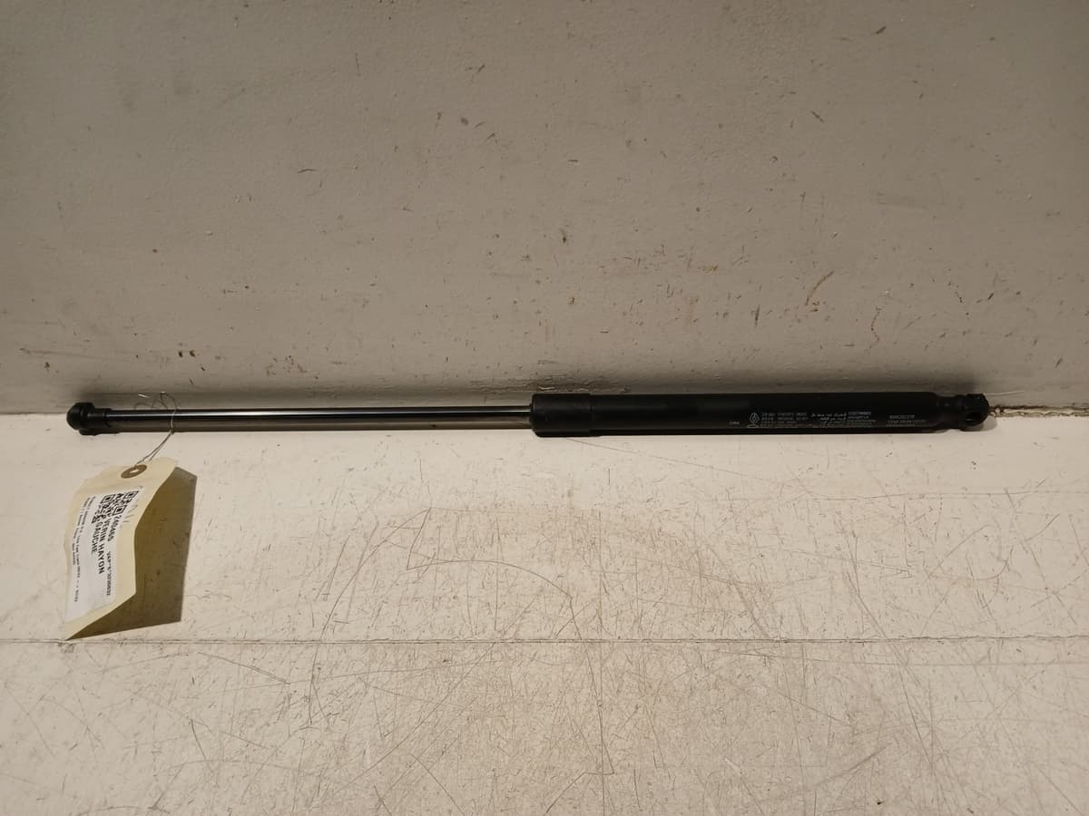 Image sélectionnée