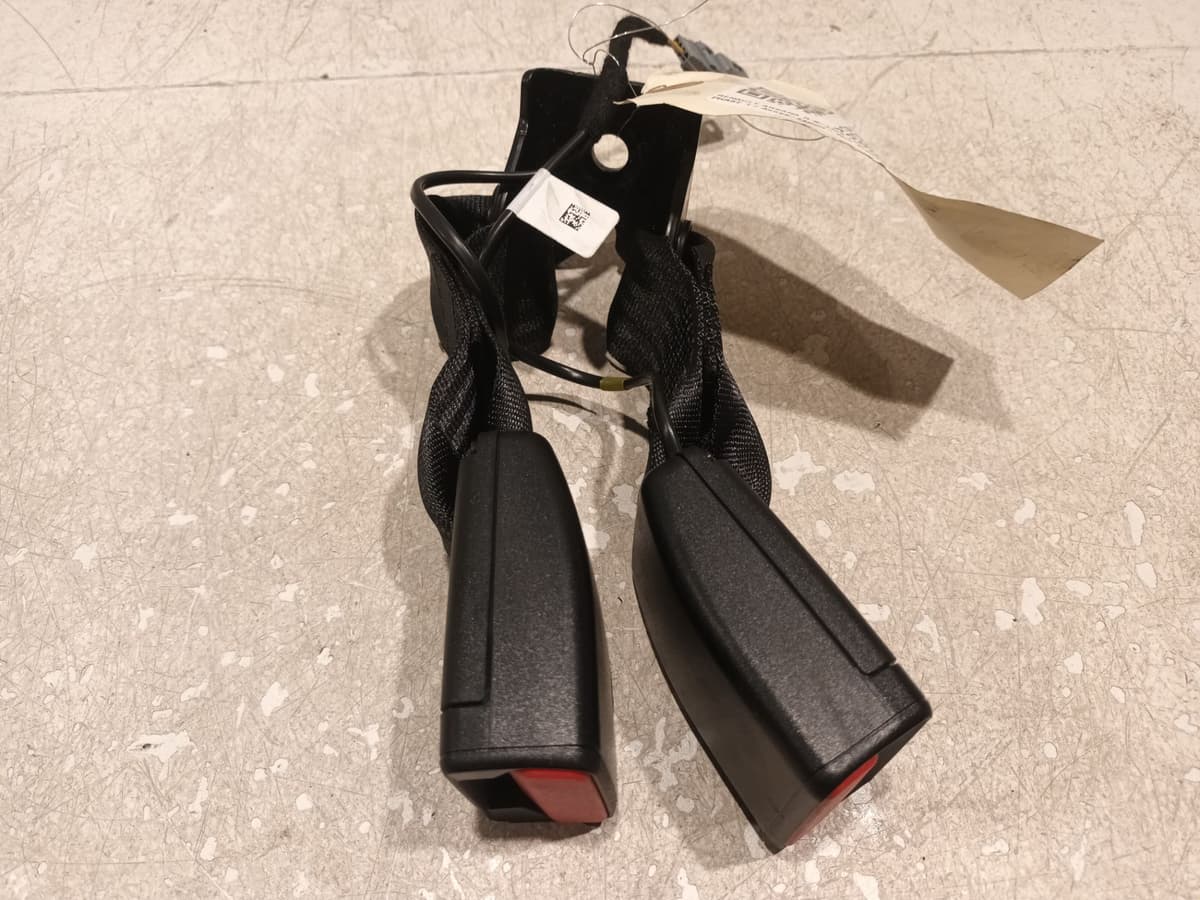 Image sélectionnée