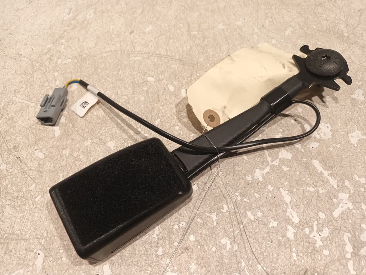 Image sélectionnée