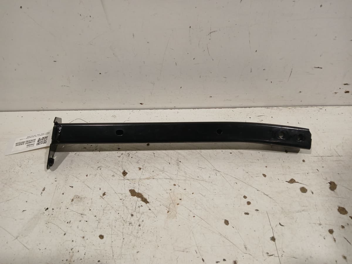 Image sélectionnée