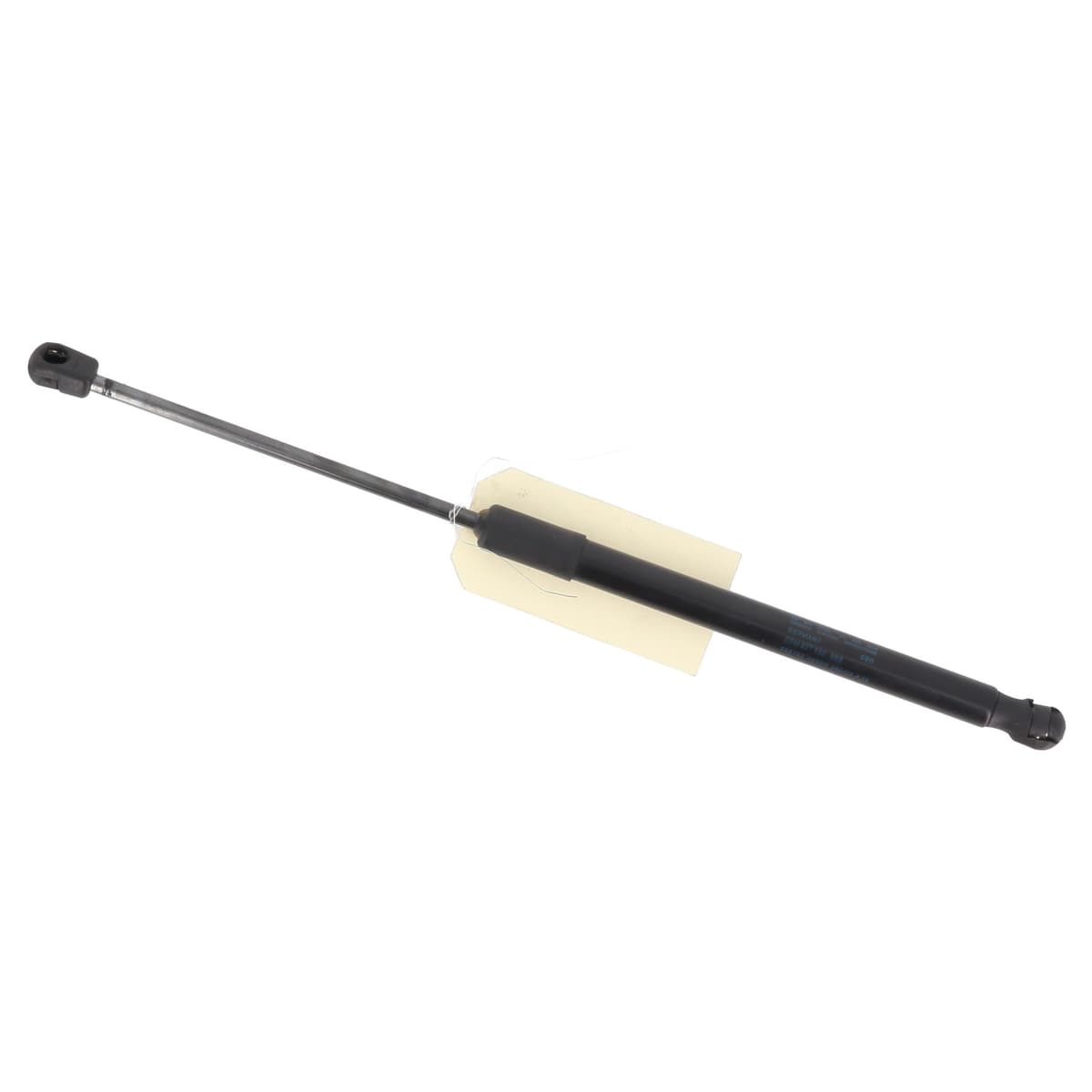 Image sélectionnée