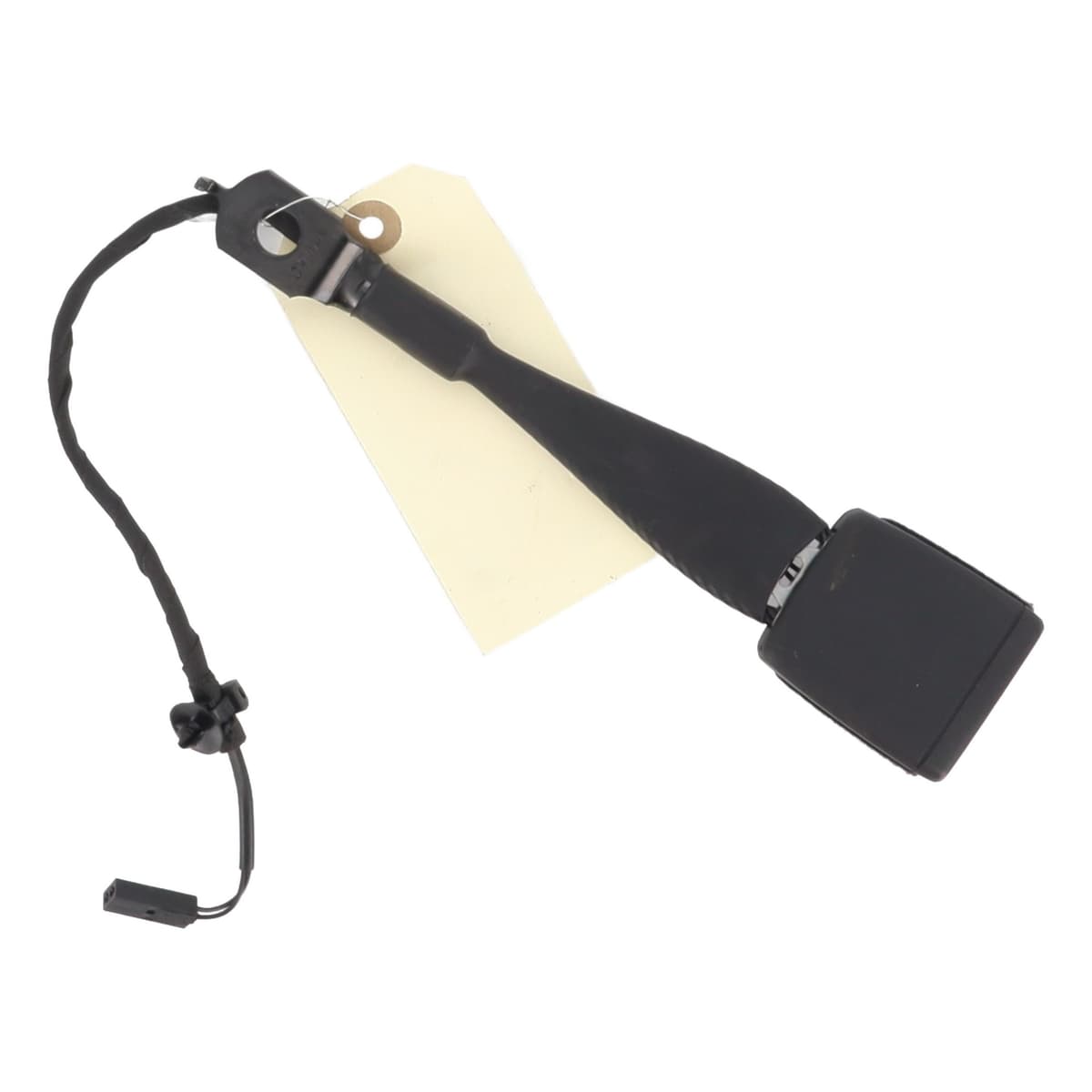 Image sélectionnée