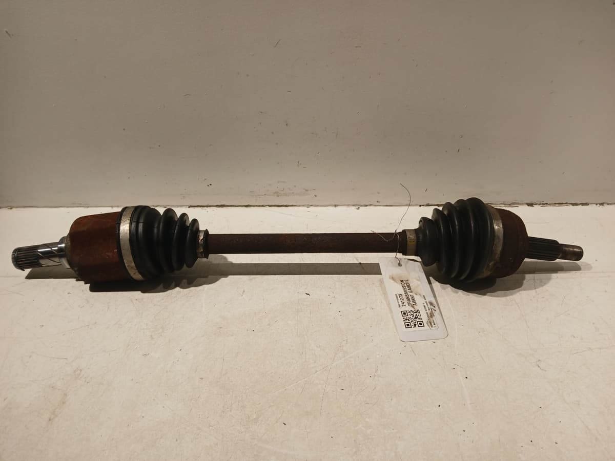 Image sélectionnée