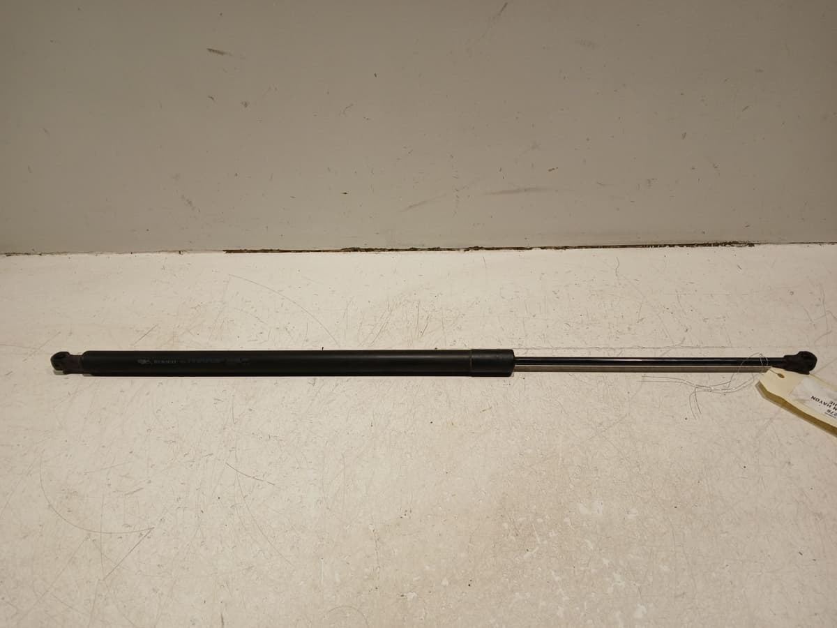 Image sélectionnée