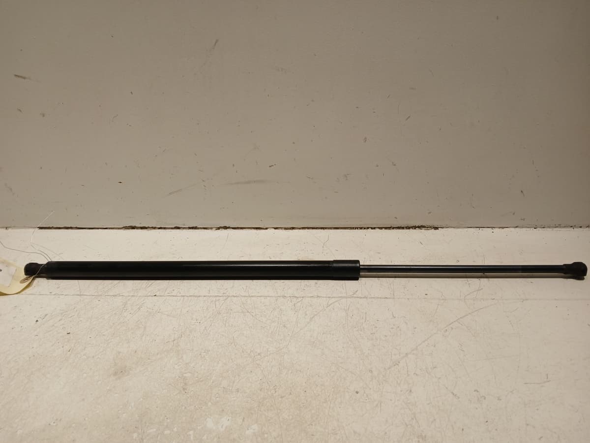 Image sélectionnée