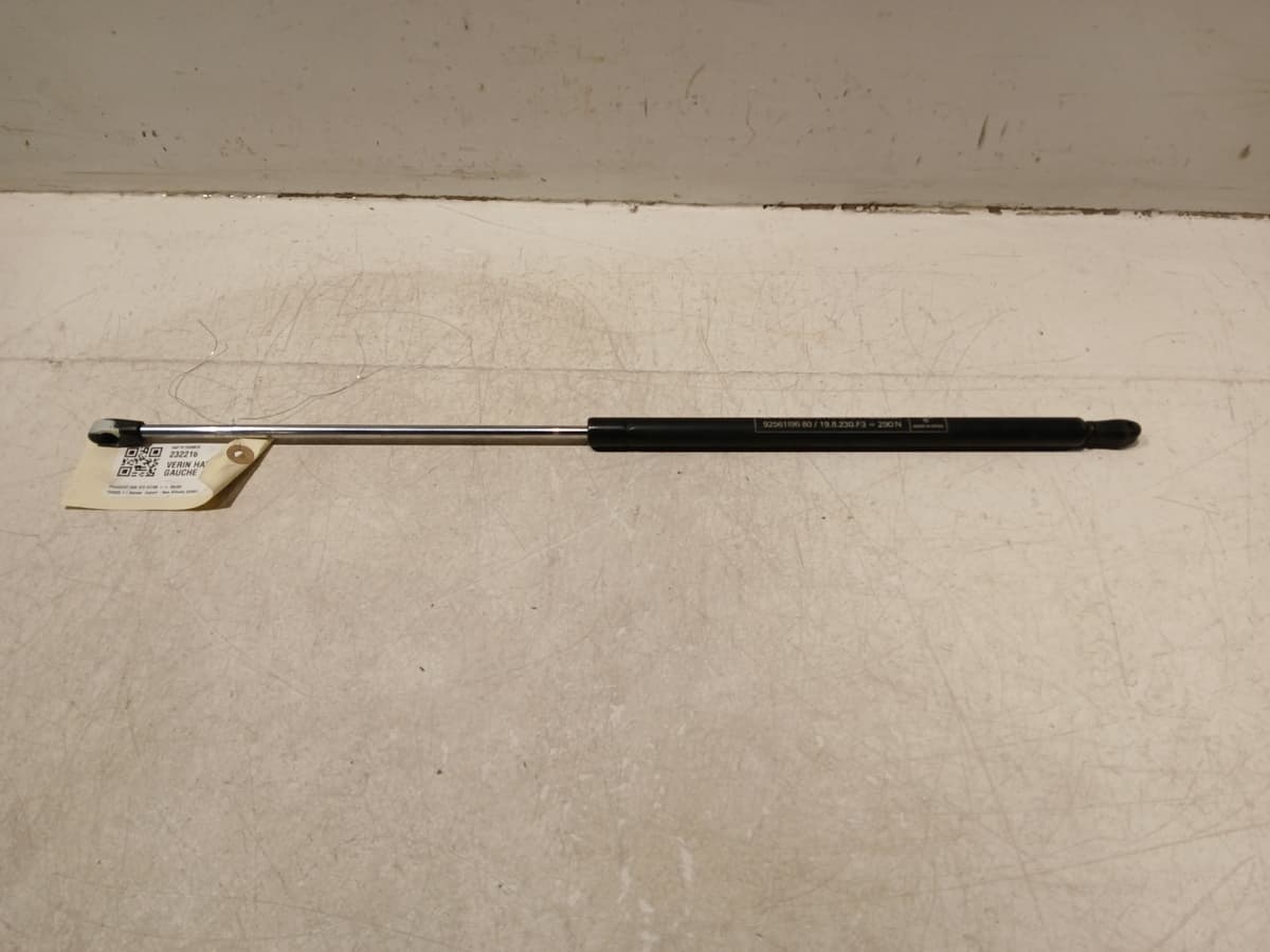 Image sélectionnée