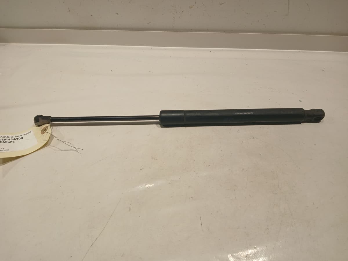 Image sélectionnée