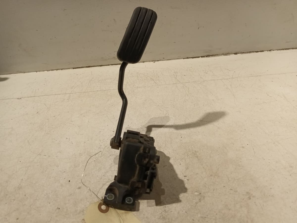 Image sélectionnée