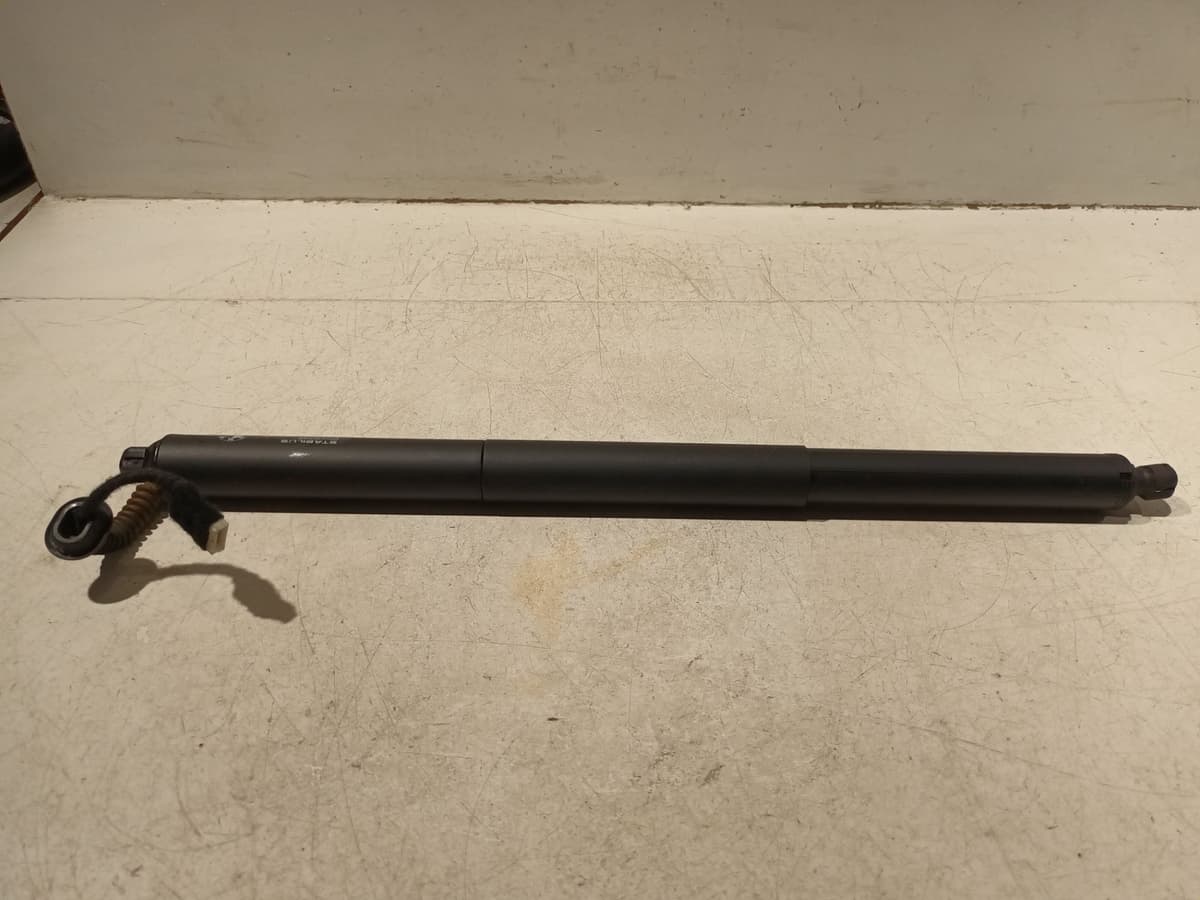 Image sélectionnée