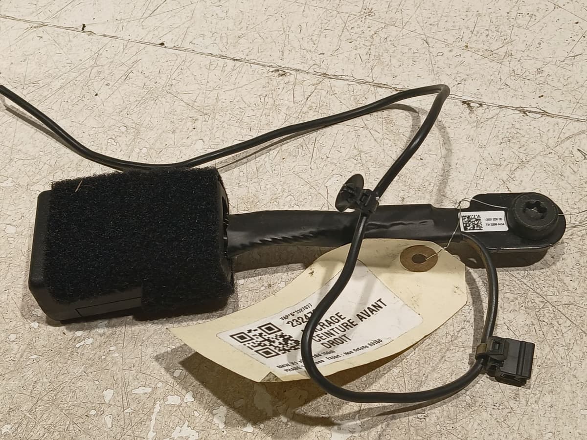 Image sélectionnée