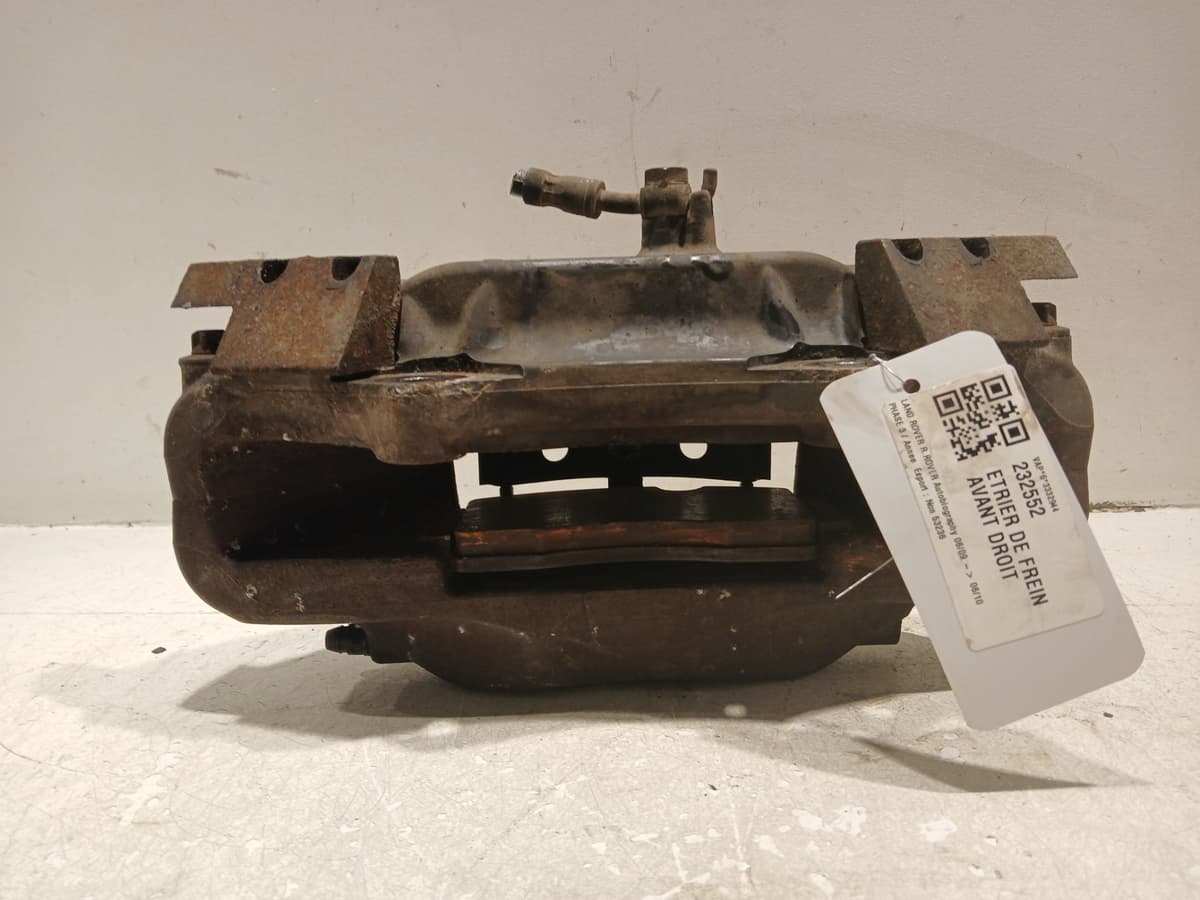 Image sélectionnée