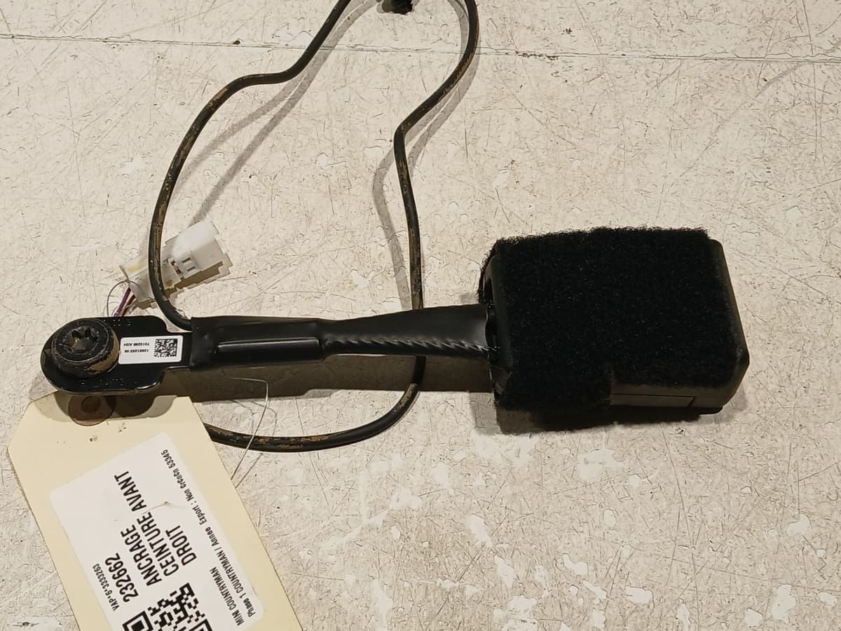 Image sélectionnée