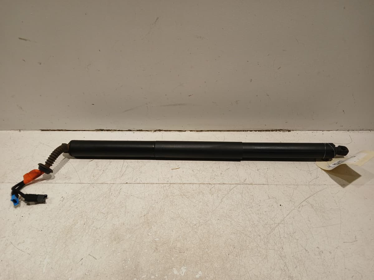 Image sélectionnée