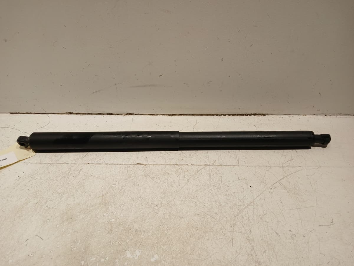 Image sélectionnée