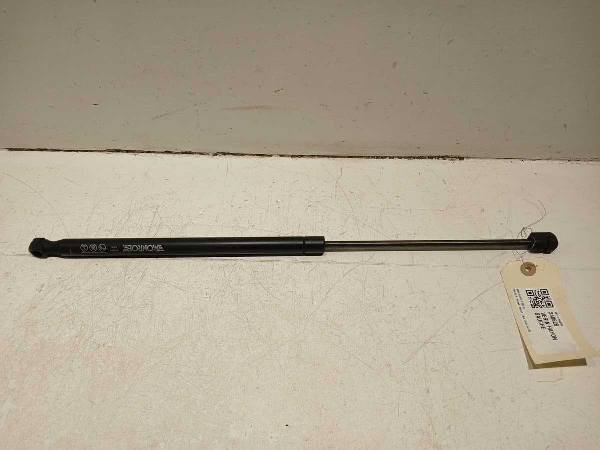 Image sélectionnée