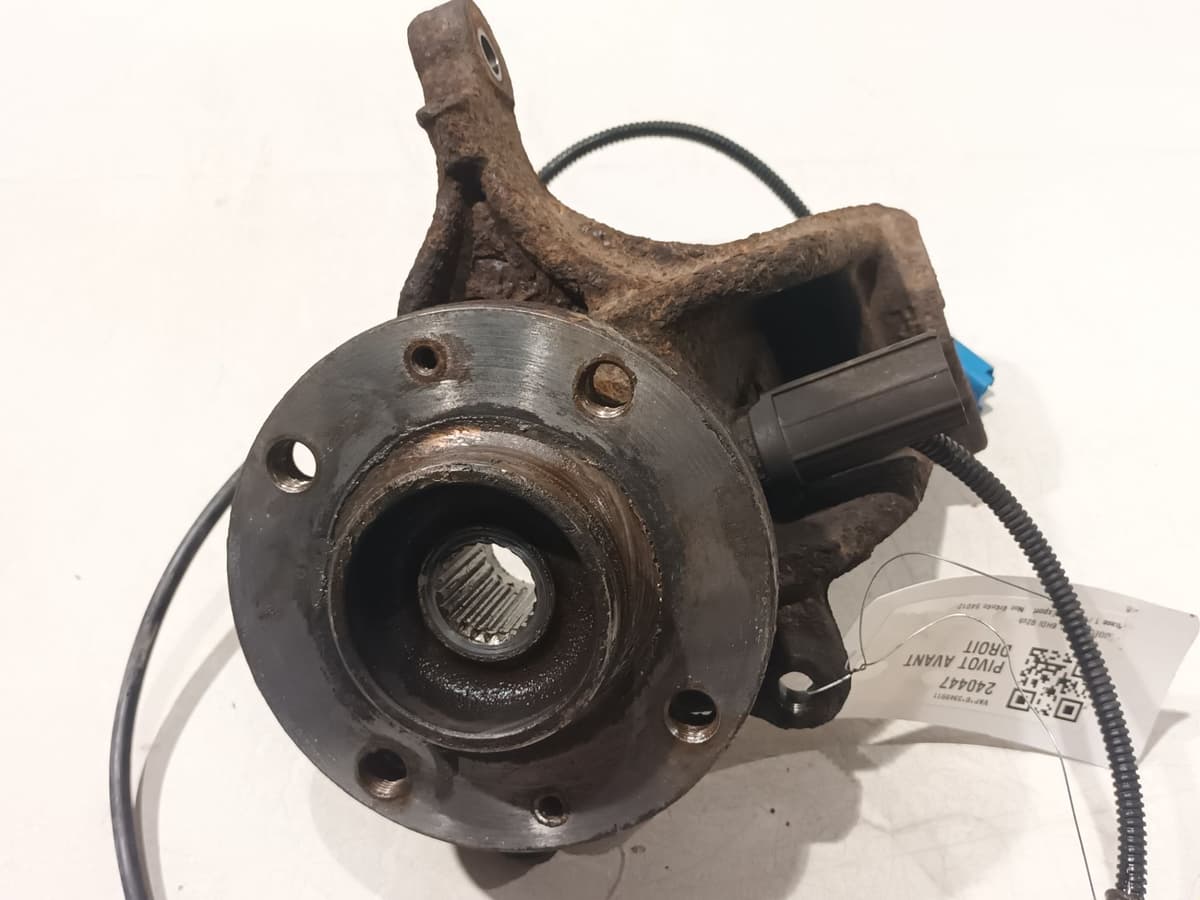 Image sélectionnée