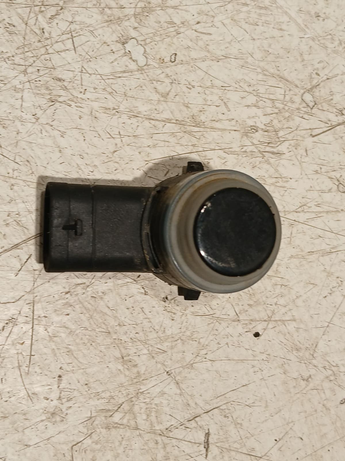 Image sélectionnée