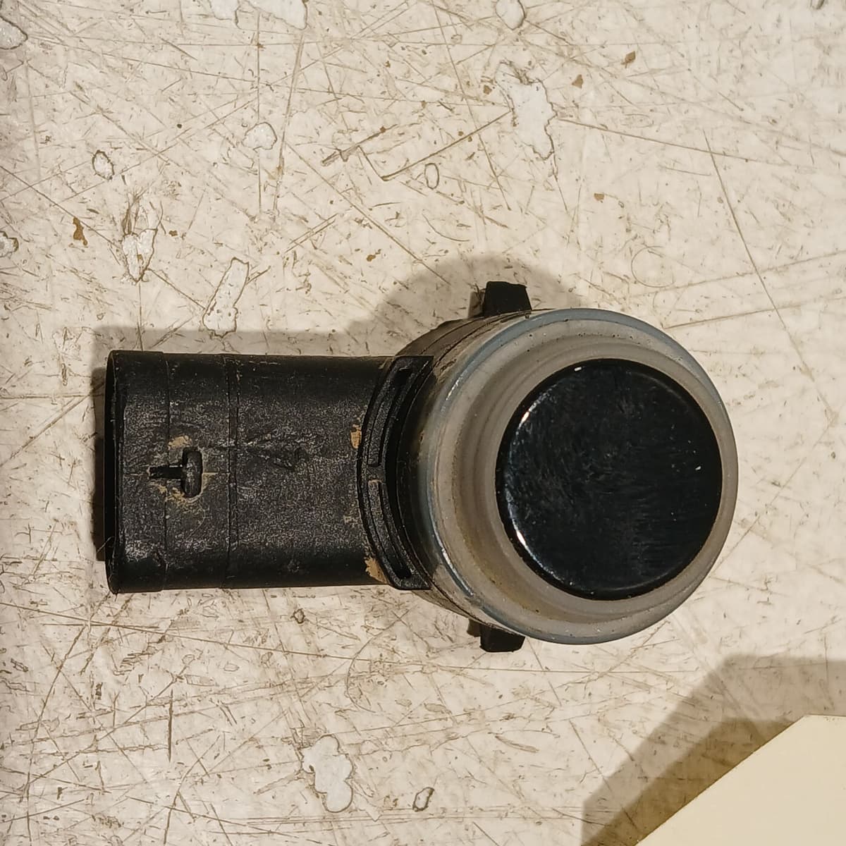 Image sélectionnée