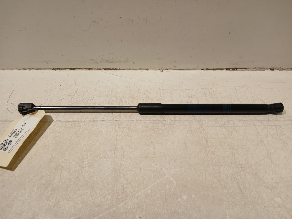 Image sélectionnée