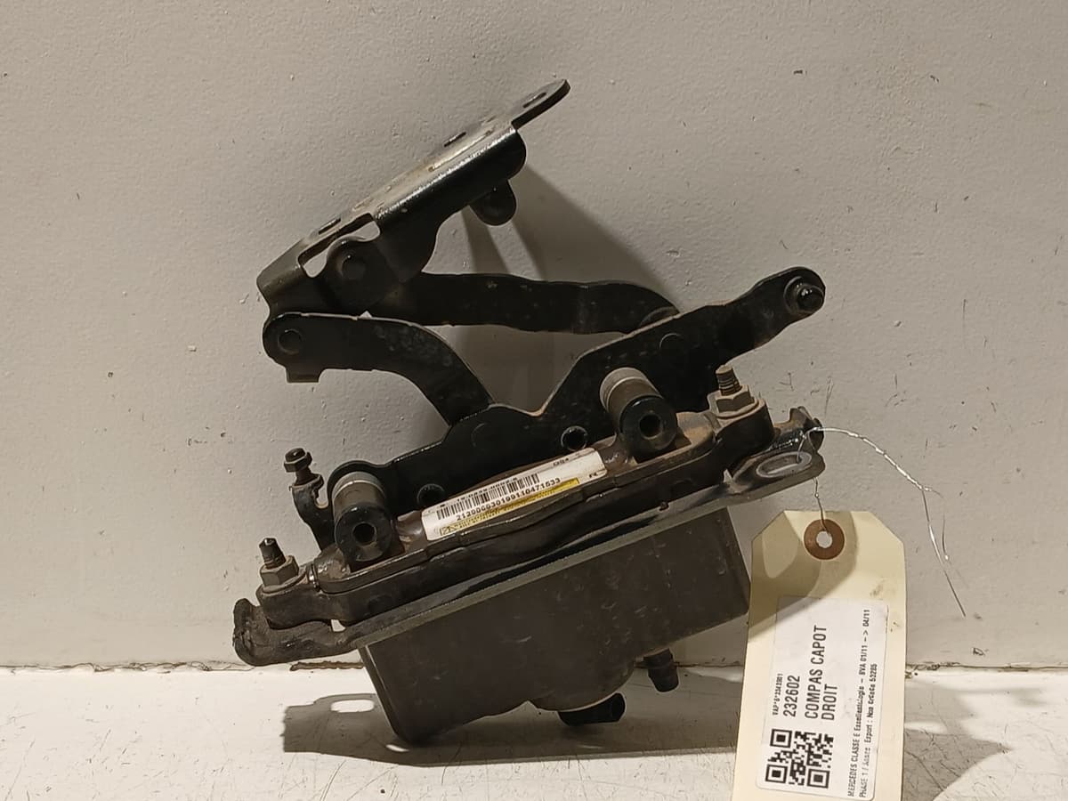 Image sélectionnée