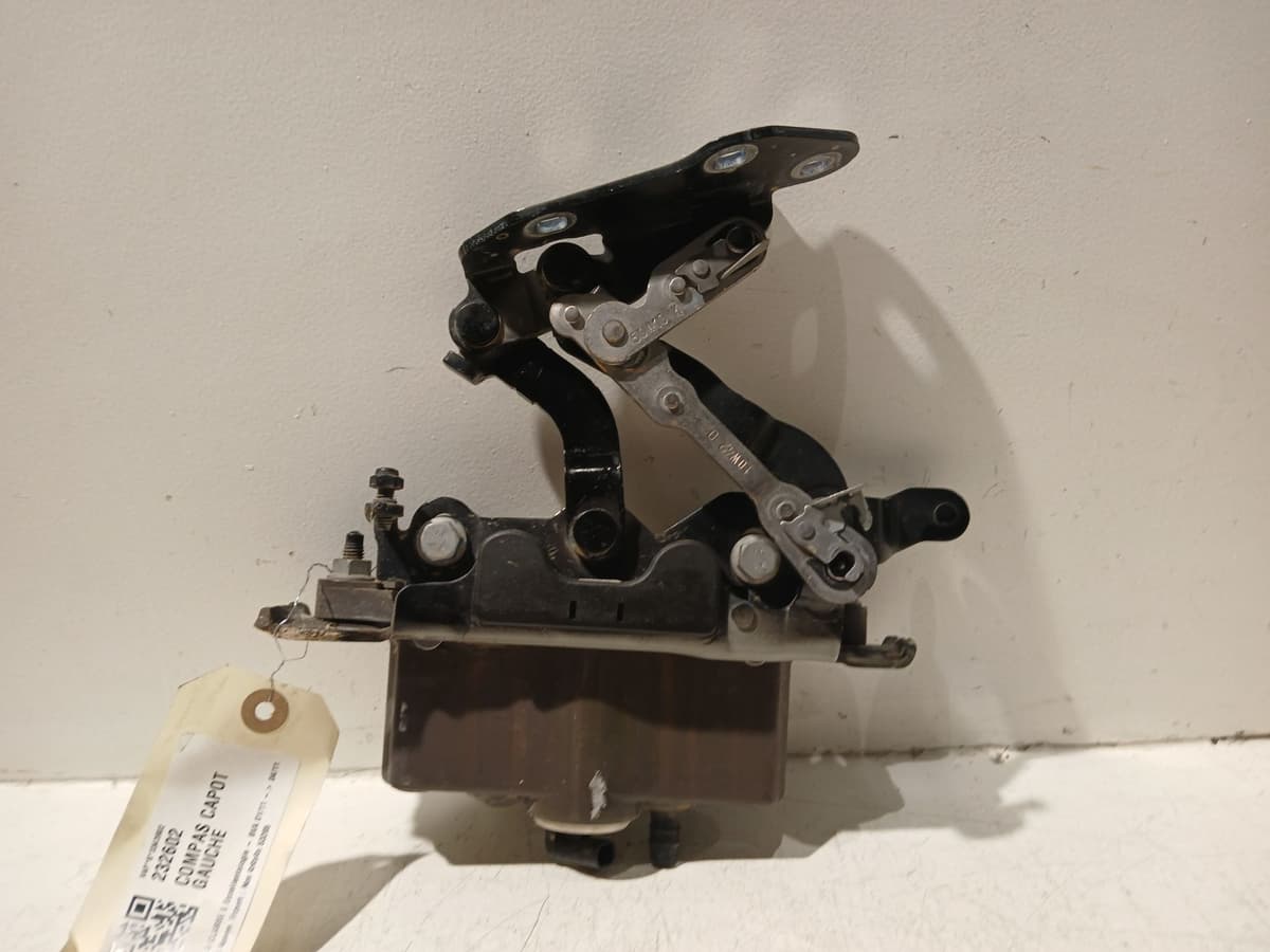 Image sélectionnée