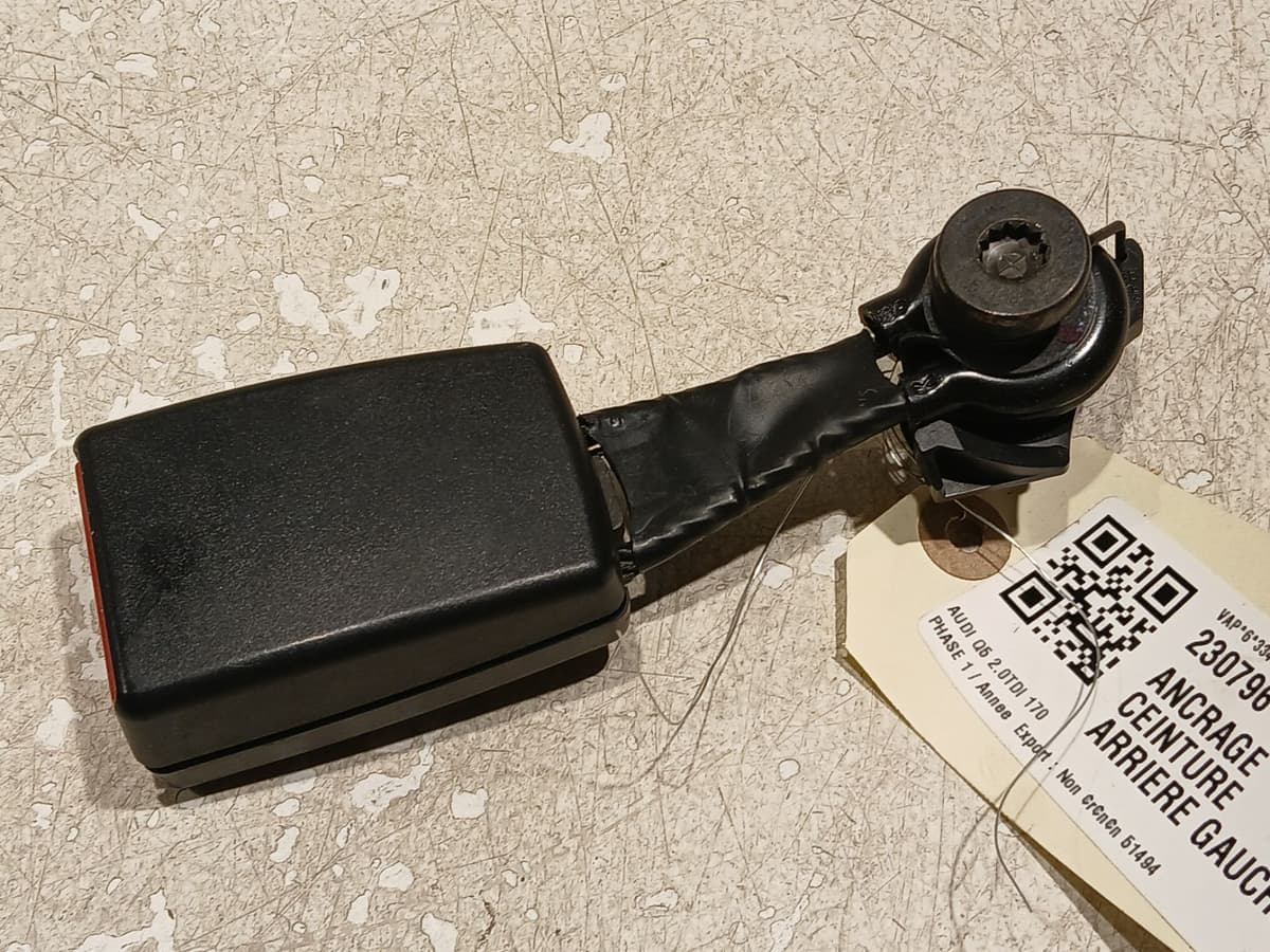 Image sélectionnée