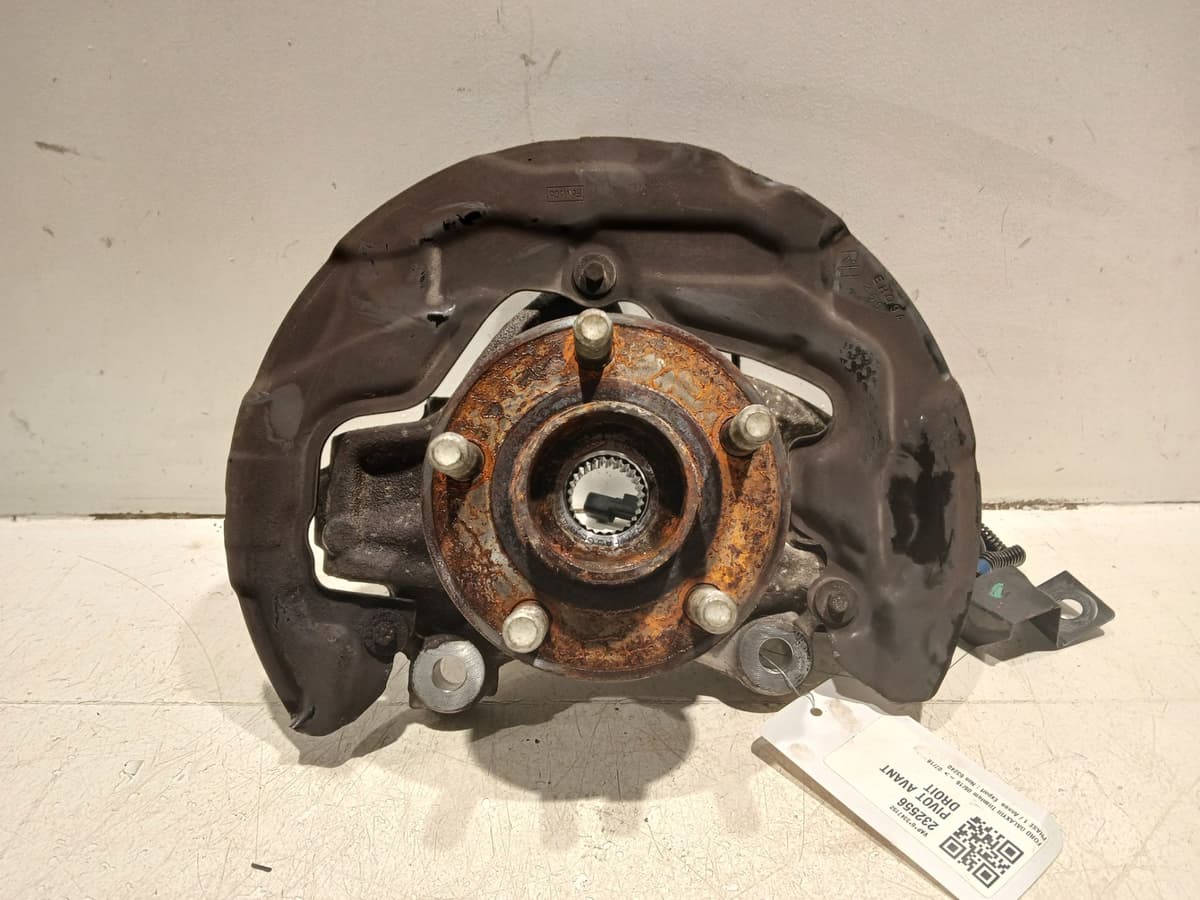 Image sélectionnée