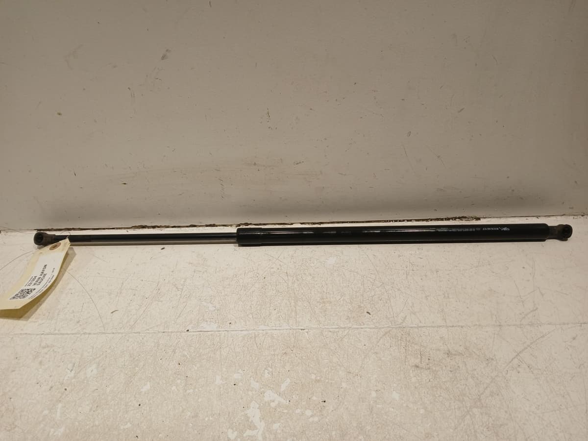 Image sélectionnée