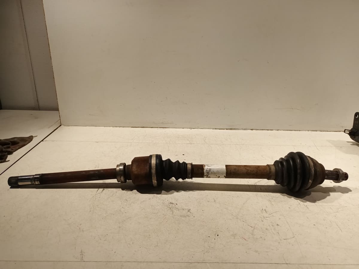 Image sélectionnée