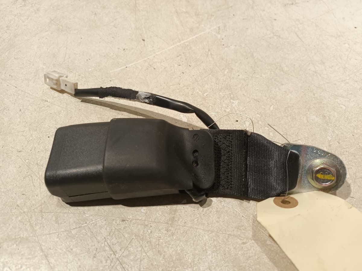 Image sélectionnée