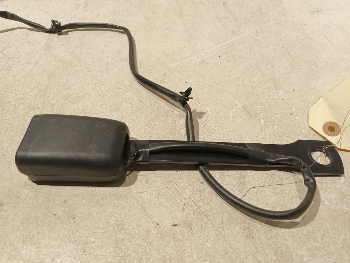 Image sélectionnée