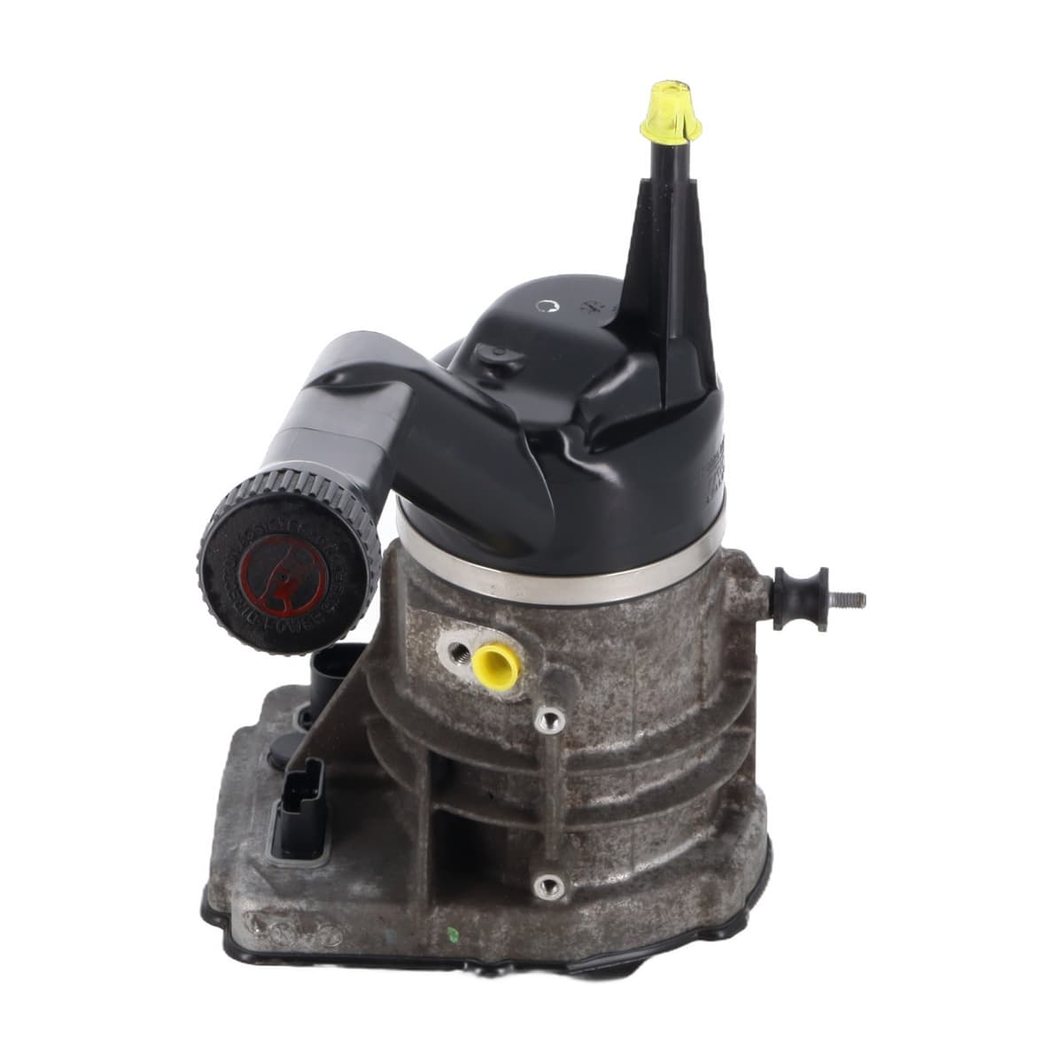 Image sélectionnée