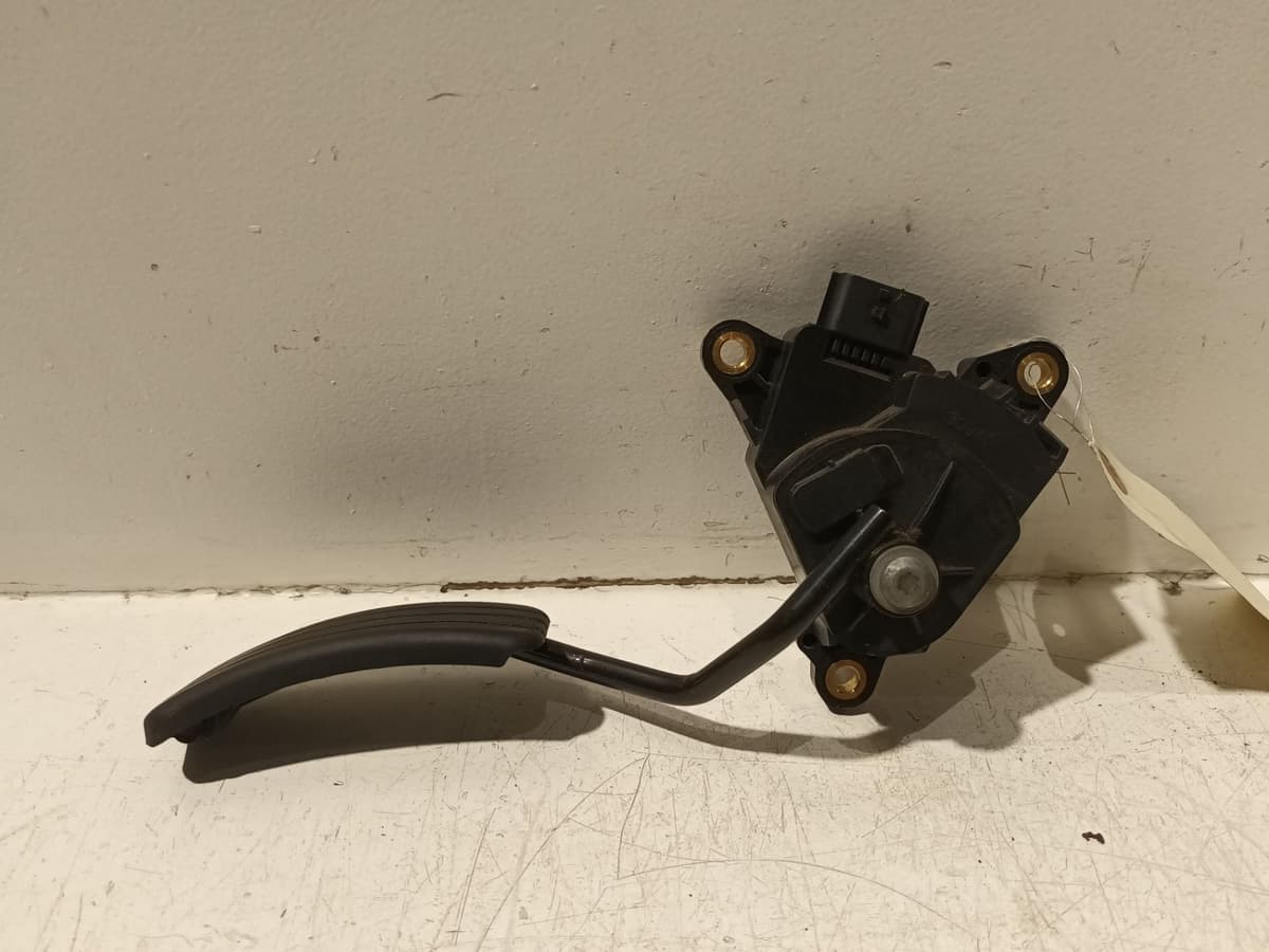 Image sélectionnée