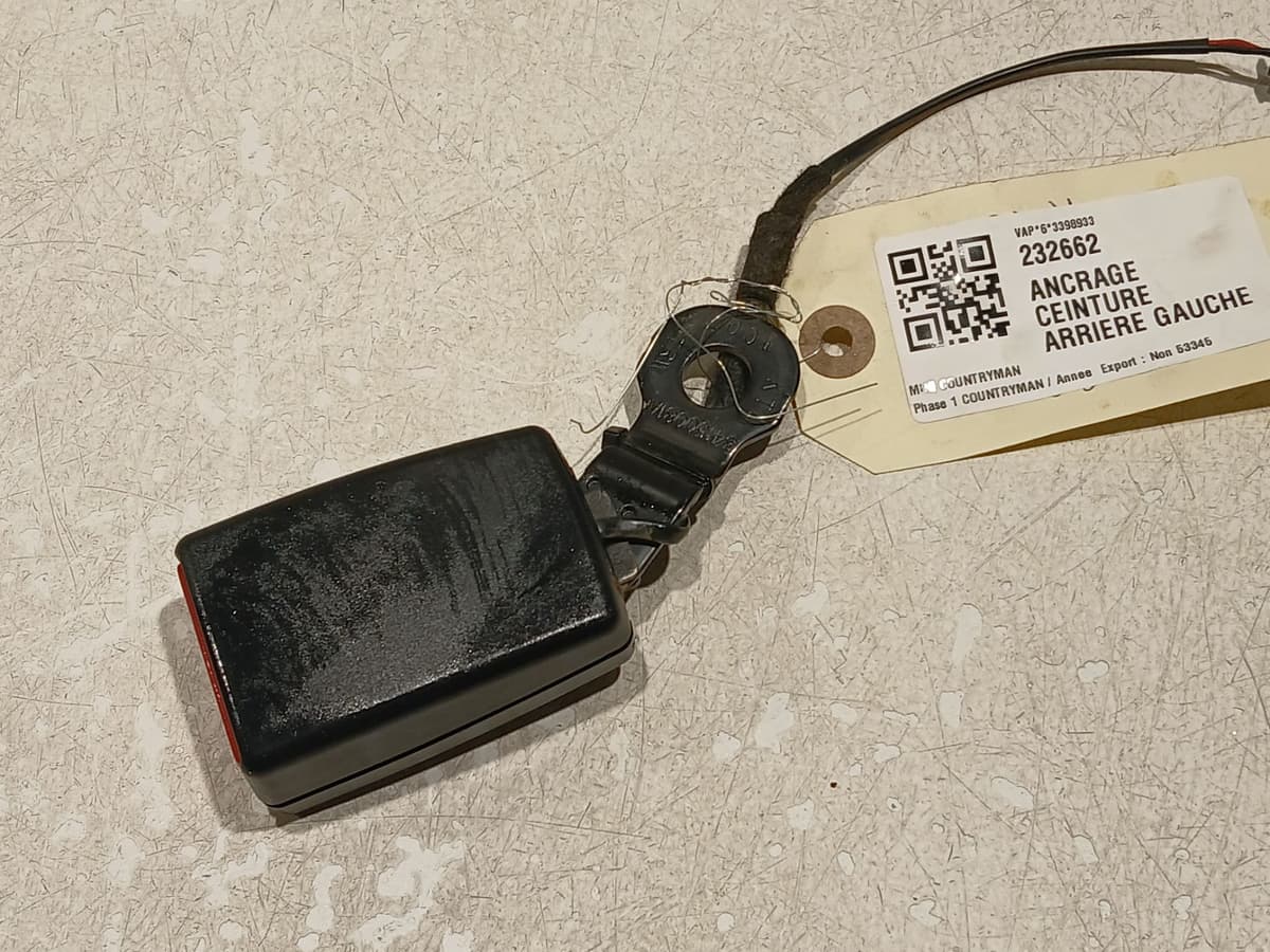 Image sélectionnée