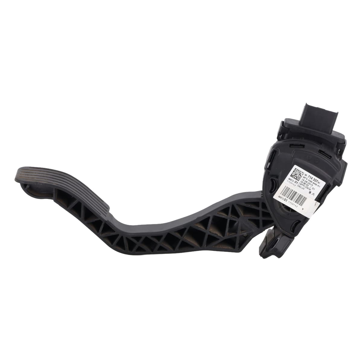 Image sélectionnée