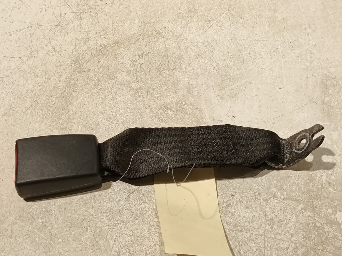 Image sélectionnée