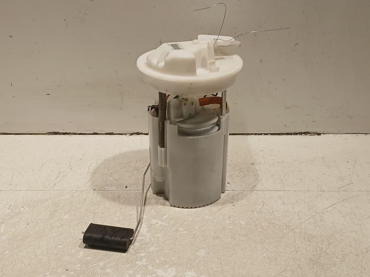 Image sélectionnée