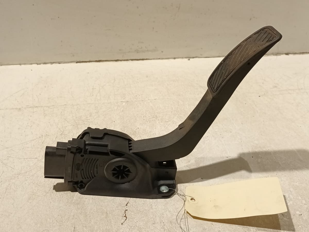 Image sélectionnée