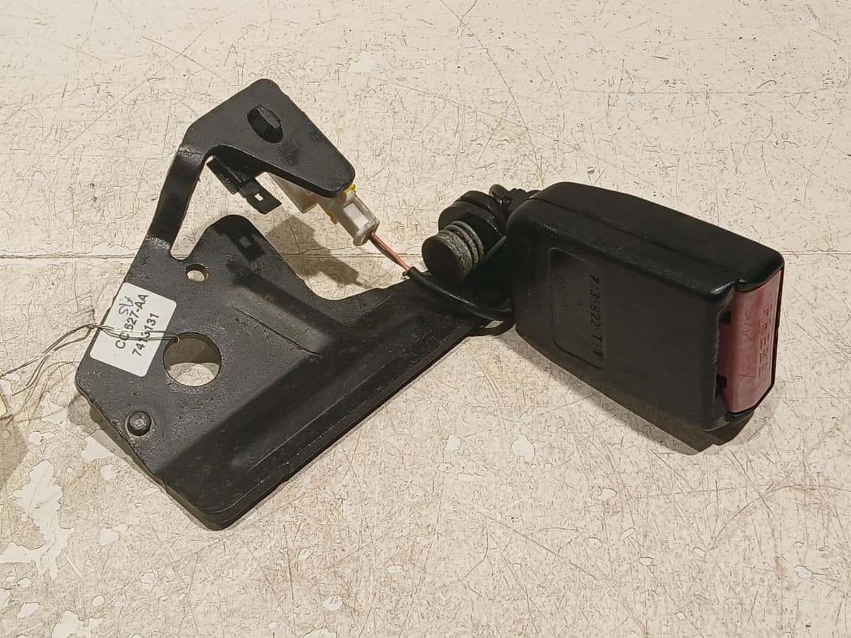 Image sélectionnée