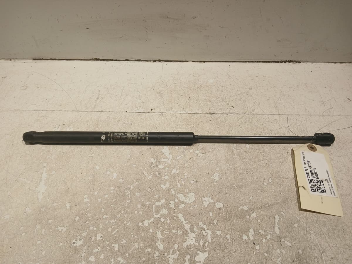 Image sélectionnée