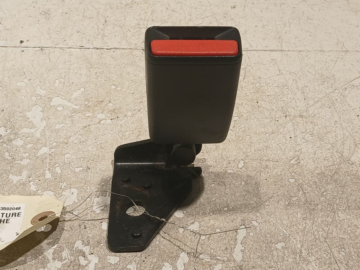 Image sélectionnée