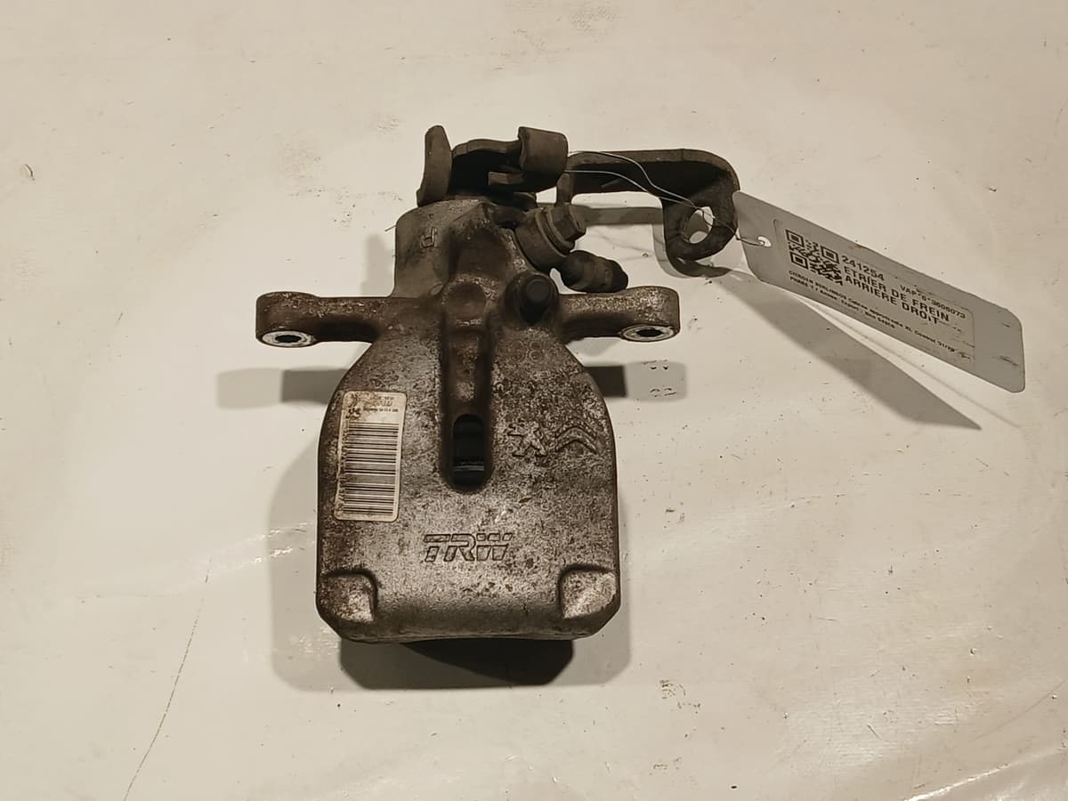 Image sélectionnée