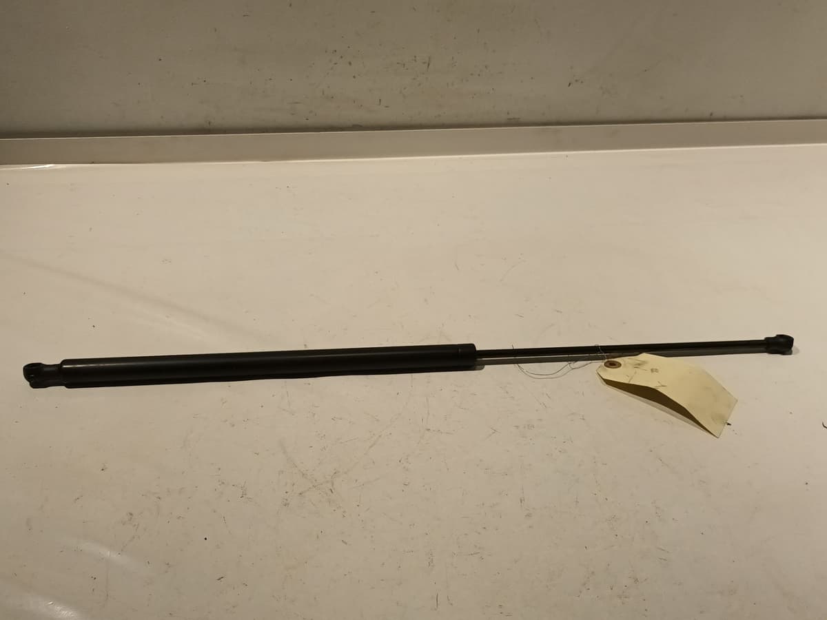 Image sélectionnée