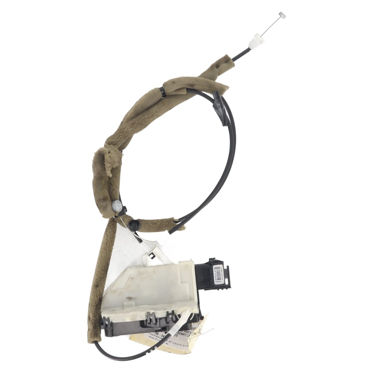 Image sélectionnée