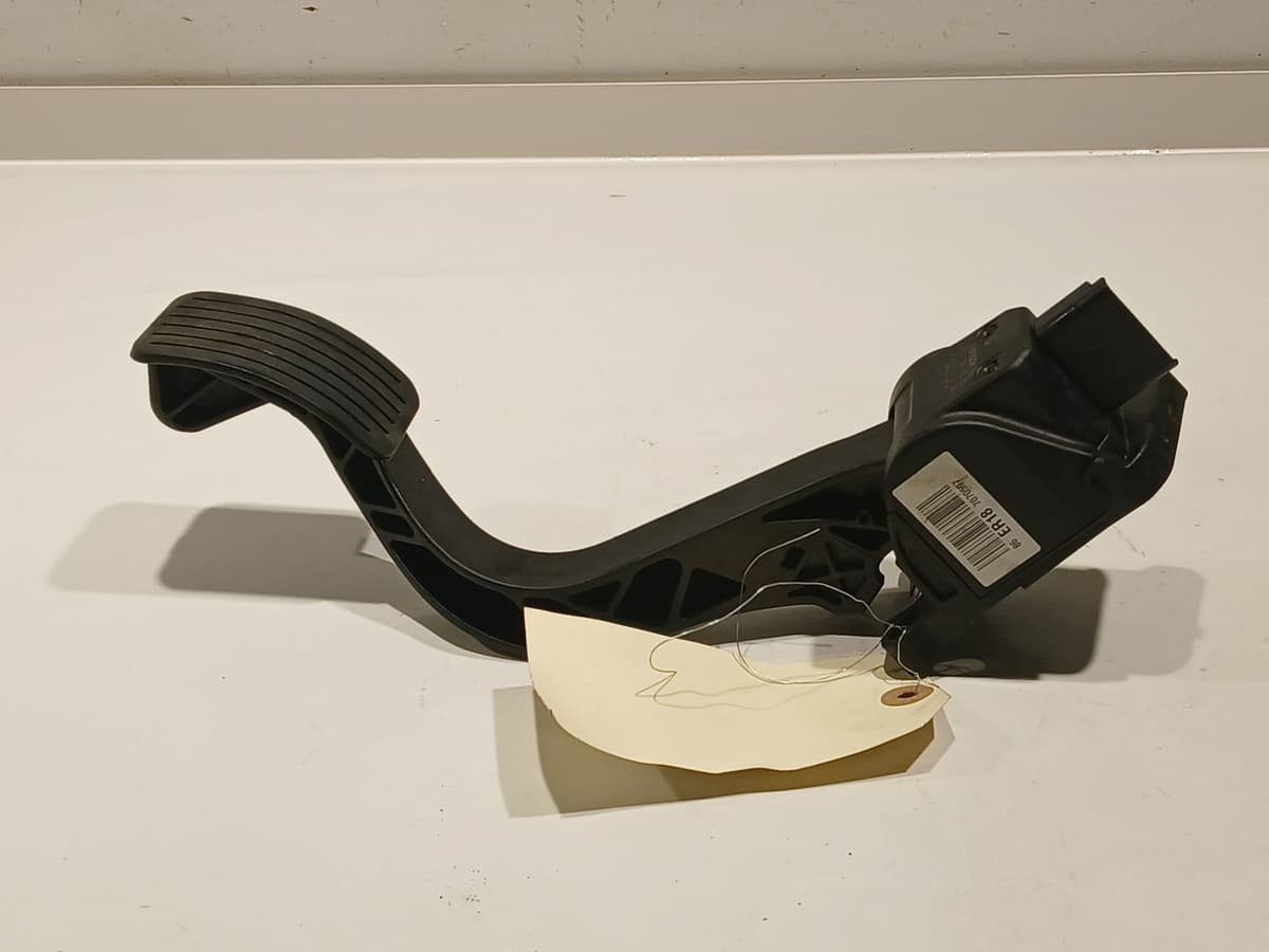 Image sélectionnée