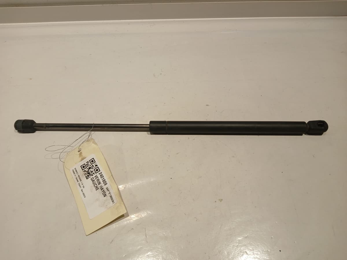 Image sélectionnée