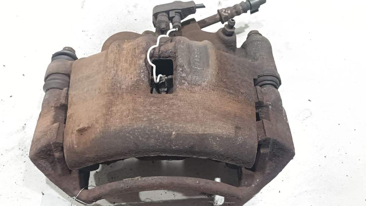 Image sélectionnée