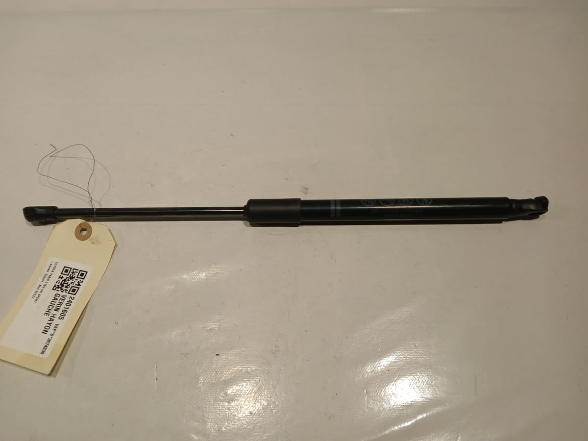 Image sélectionnée